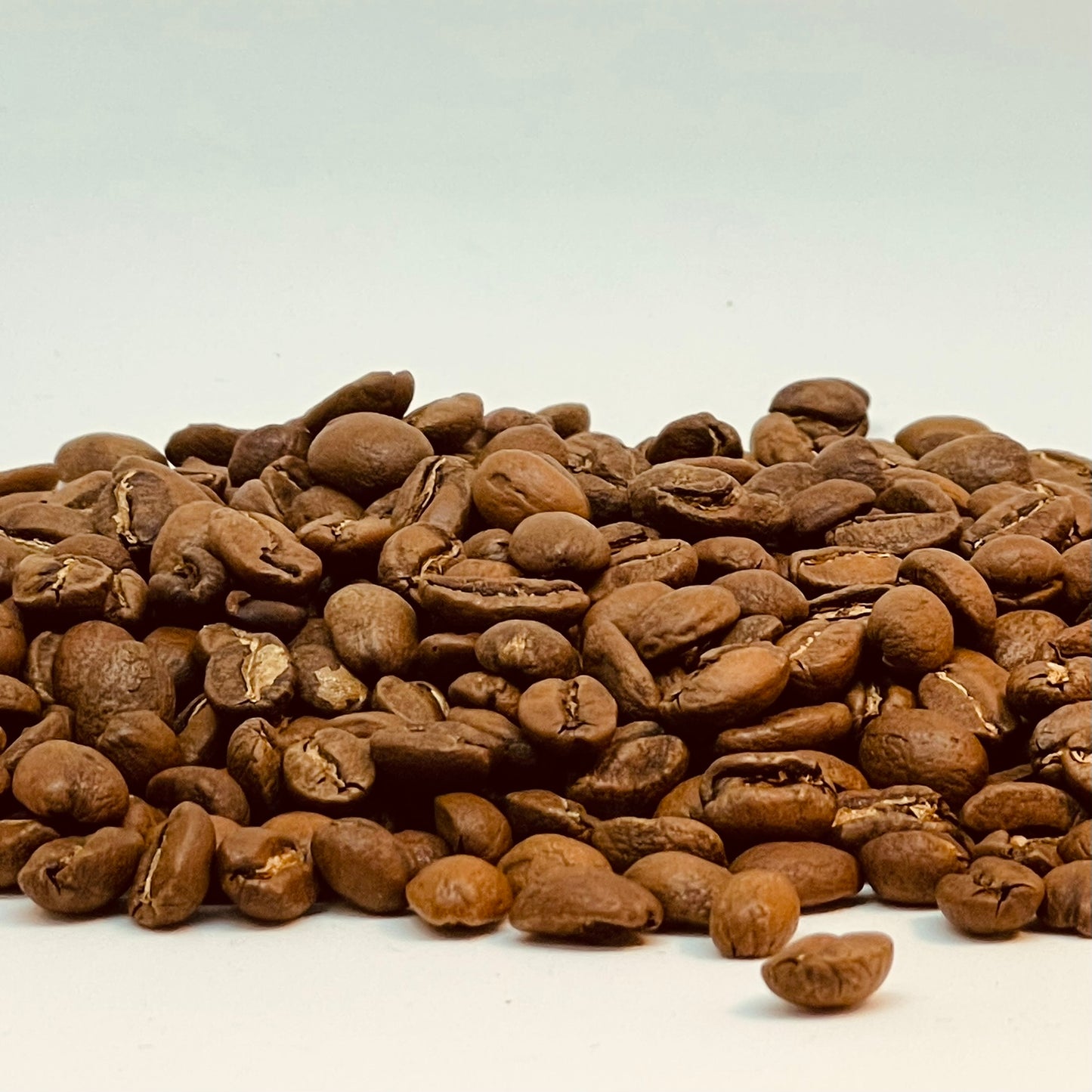 kaffe filter brygger / enkelt kop