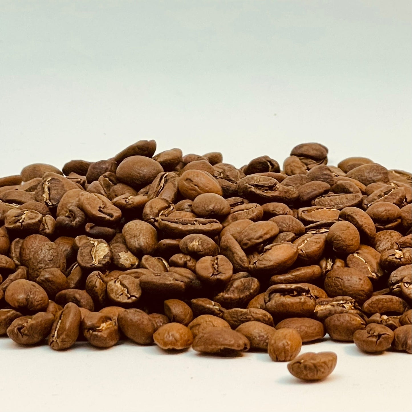 kaffe filter holder standard str.